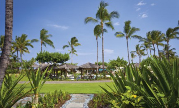 Superior Suite Poolside View