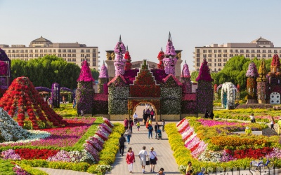 Magic garden - Miracle Garden