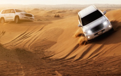 Fascinating desert safari