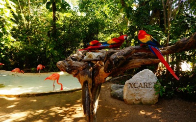 Экскурсия в парк Xcaret