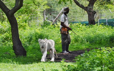 World of adventure - Kazel's natural park