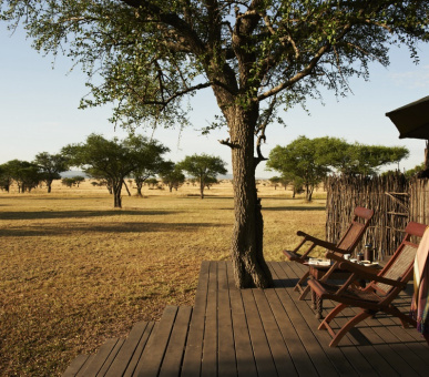 Фото Sabora Tented Camp (Танзания, Национальный парк Серенгети) 3