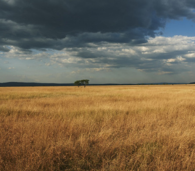 Фото Sabora Tented Camp (Танзания, Национальный парк Серенгети) 12