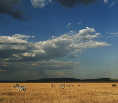 Фото Sabora Tented Camp (Танзания, Национальный парк Серенгети) 13