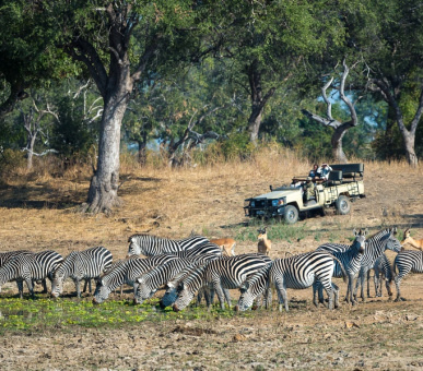 Фото Luangwa River Lodge (Замбия, Национальный парк Южная Луангва) 3