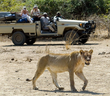 Фото Luangwa River Lodge (Замбия, Национальный парк Южная Луангва) 6