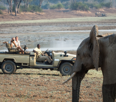 Фото Luangwa River Lodge (Замбия, Национальный парк Южная Луангва) 2