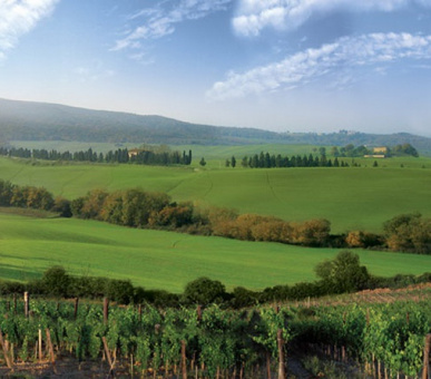 Photo Castiglion del Bosco  (Италия, Форте дей Марми) 14