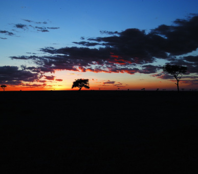 Фото Fairmont Mara Safari Club (Кения, Национальный заповедник Масаи Мара) 10