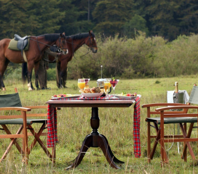 Фото Fairmont Mount Kenya Safari Club  (Кения, Национальный заповедник Масаи Мара) 22