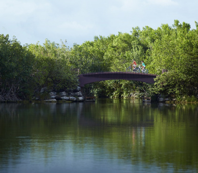 Photo Banyan Tree Mayakoba (Мексика, Ривьера Майя) 25