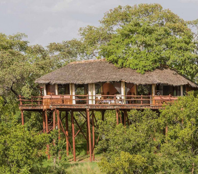 Фото Tarangire Treetops 4