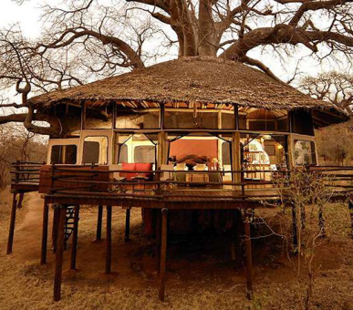 Tarangire Treetops