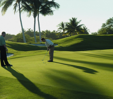 Фото The Fairmont Orchid (США, остров Гаваи (Биг Айлэнд)) 36