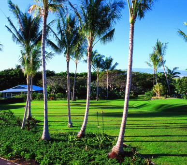 Фото The Fairmont Orchid (США, остров Гаваи (Биг Айлэнд)) 7