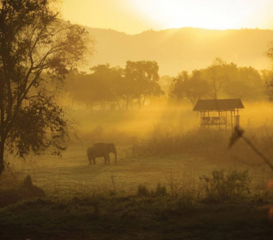 Photo Four Seasons Tented Camp Golden Triangle (Таиланд, Чиангмай, Чианграй) 18