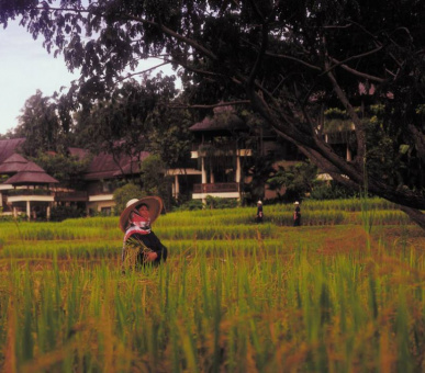 Photo Four Seasons Resort Chiang Mai (Таиланд, Чиангмай, Чианграй) 48