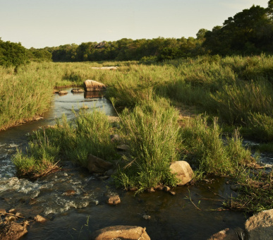 Photo Singita Ebony Lodge 7