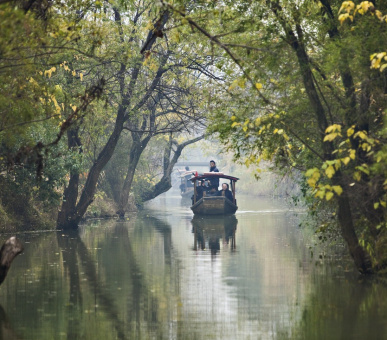 Фото Banyan Tree Hangzhou (Китай, Ханчжоу) 2