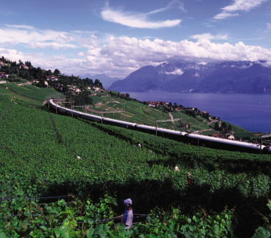 Фото Venice Simplon-Orient-Express (Круизы, Железнодорожные круизы) 11