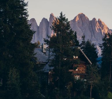 Картинка Forestis 1 Фото Forestis 1