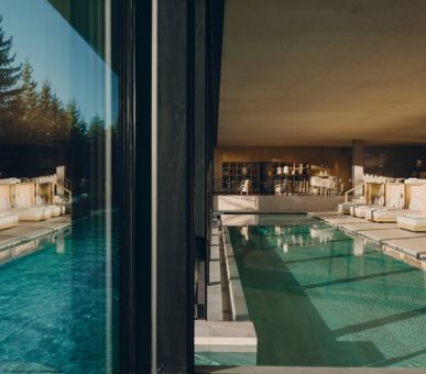 Картинка Forestis 8 Фото Forestis 8