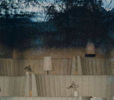 Картинка Forestis 10 Фото Forestis 10