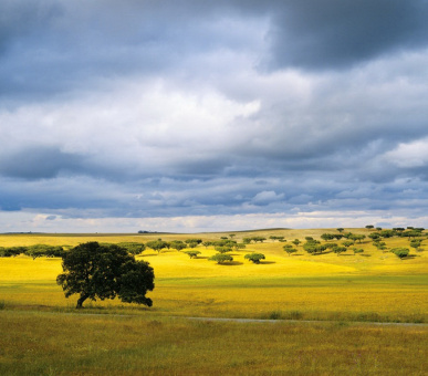 Photo L'and Vineyards (Португалия, Алентежу) 12