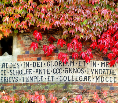 Photo Rugby School (Великобритания, Средняя школа) 2