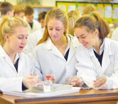 Фото Wellington College (Великобритания, Средняя школа) 2