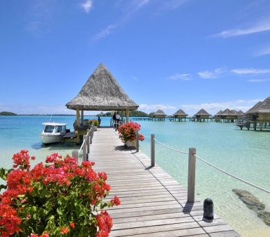 Photo Inter Continental Le Maona Bora Bora (Французская Полинезия, о. Бора Бора) 31