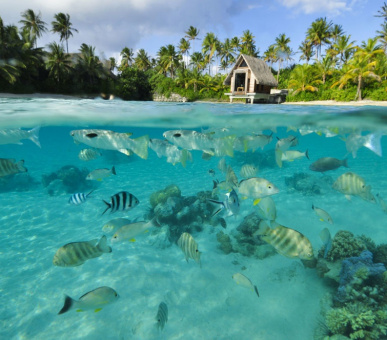 Photo InterContinental Thalasso - Spa Bora Bora (Французская Полинезия, о. Бора Бора) 45