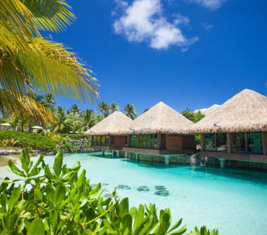 Фото InterContinental Thalasso - Spa Bora Bora (Французская Полинезия, о. Бора Бора) 15