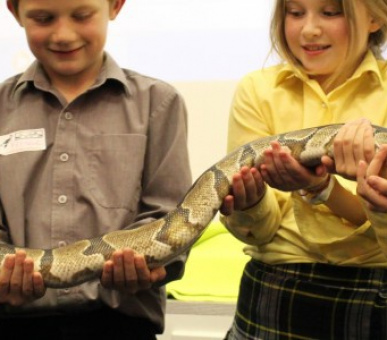 Photo Dragon School, Oxford (Великобритания, Подготовительная школа) 12
