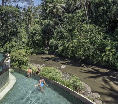 Фото Four Seasons Resort Bali at Sayan (Индонезия, Бали) 4