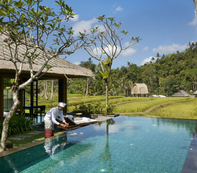 Photo Mandapa, A Ritz-Carlton Reserve (Бали, Убуд) 13