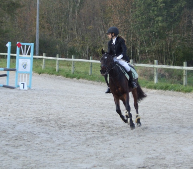 Photo Ecole Nouvelle de la Suisse Romande (Швейцария, Детские лагеря) 6