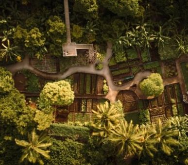 Photo Soneva Fushi (, Мальдивские острова) 8