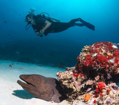 Photo Gili Lankanfushi Maldives 7