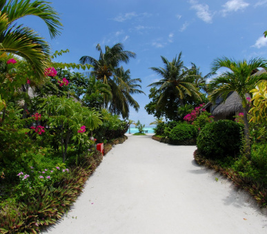 Фото Anantara Dhigu Maldives (, Мальдивские острова) 9