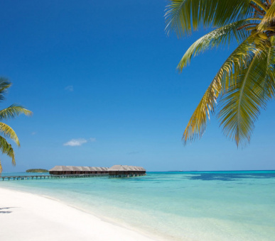 Photo LUX* Maldives 36