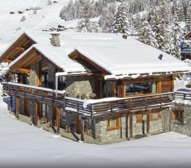Chalet Vicuña