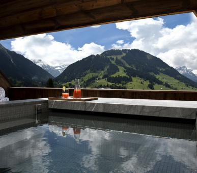 Photo The Alpina Gstaad (Швейцария, Гштаад) 43