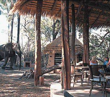 Sandibe Safari Lodge