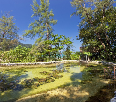 Фото The Andaman (Малайзия, о. Лангкави) 24