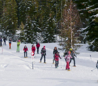 Photo TASIS - The American School in Switzerland (Швейцария, Школы) 7