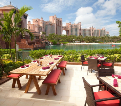 Фото Atlantis Paradise Island Resort (Багамские острова, Нассау, о. Парадиз, о. Нью-Провиденс) 16