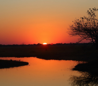 Photo Chobe Game Lodge 18