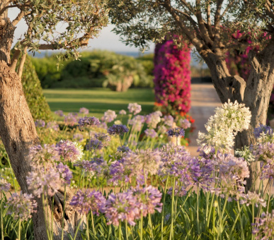 Фото St. Regis Mardavall Mallorca (Испания, о. Майорка) 12