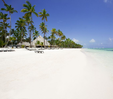 Фото Barcelo Bavaro Palace (Доминиканская Республика, Пунта Кана) 25